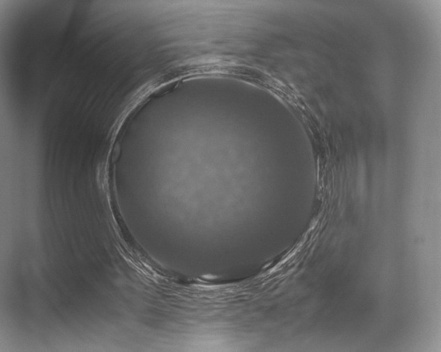 X0000075820099200609151223