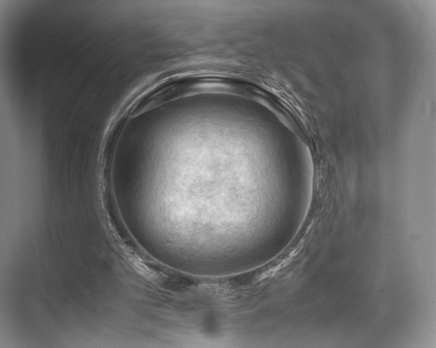 X0000075820101200609151223