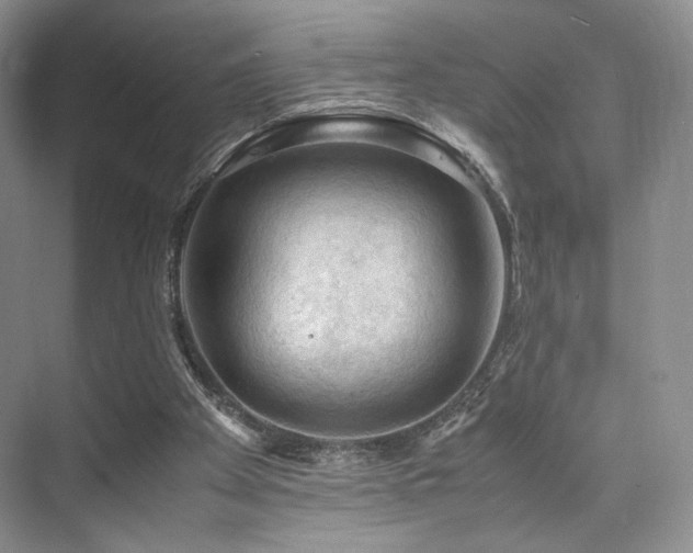 X0000075820105200609151223