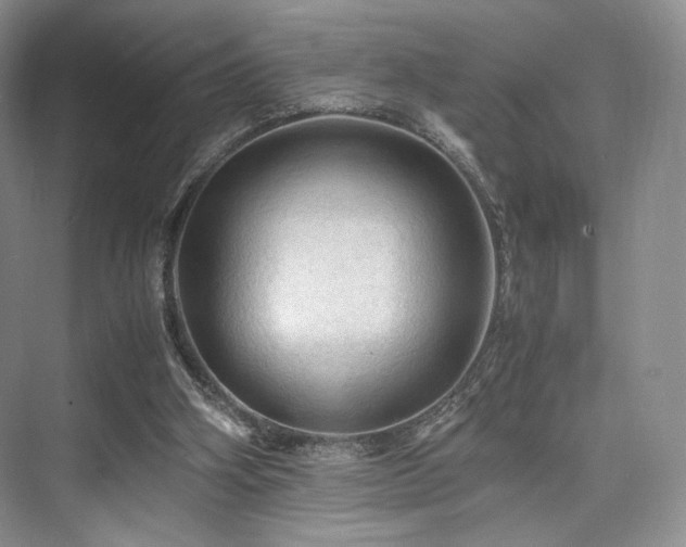 X0000075820106200609151223