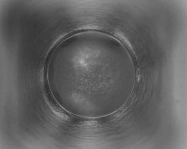 X0000075820108200609151223