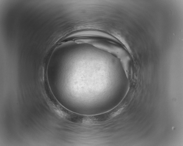 X0000075820109200609151223