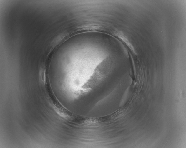 X0000075820110200609151223