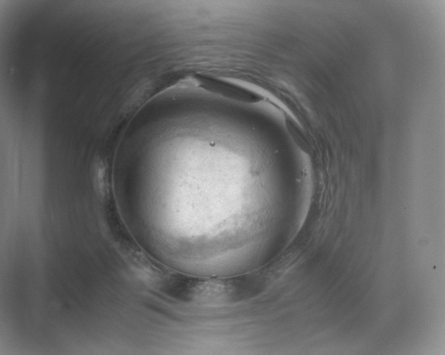 X0000075820123200609151222