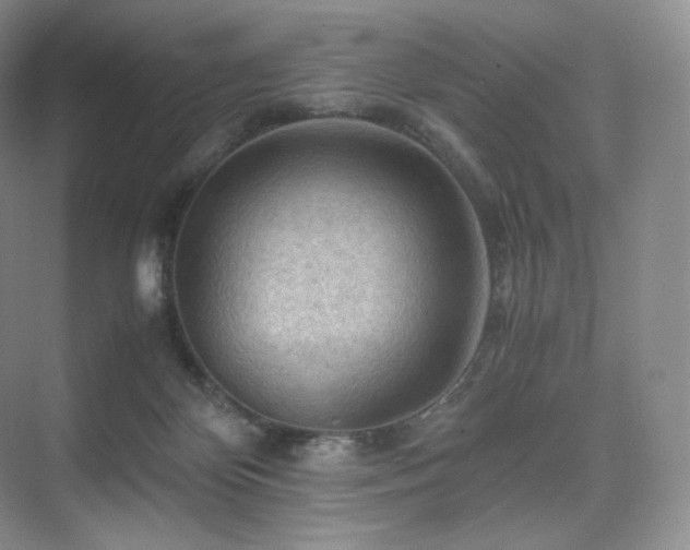 X0000075820124200609151222