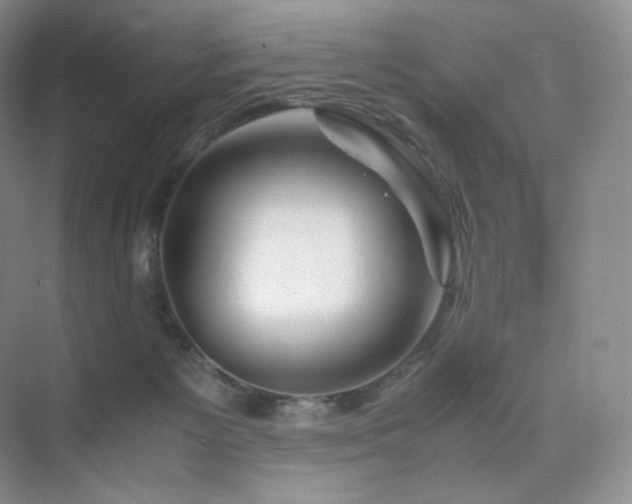 X0000075820125200609151222