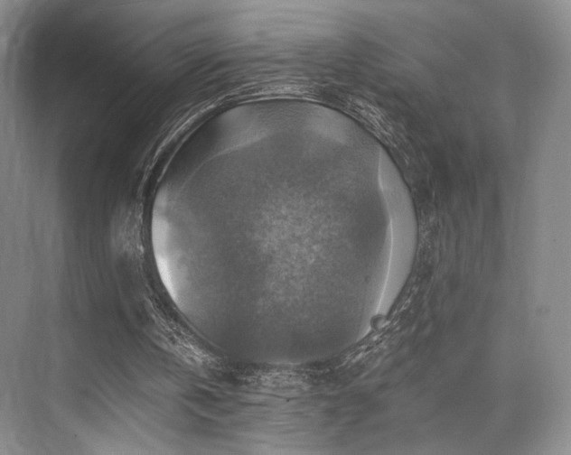 X0000075820146200609151221