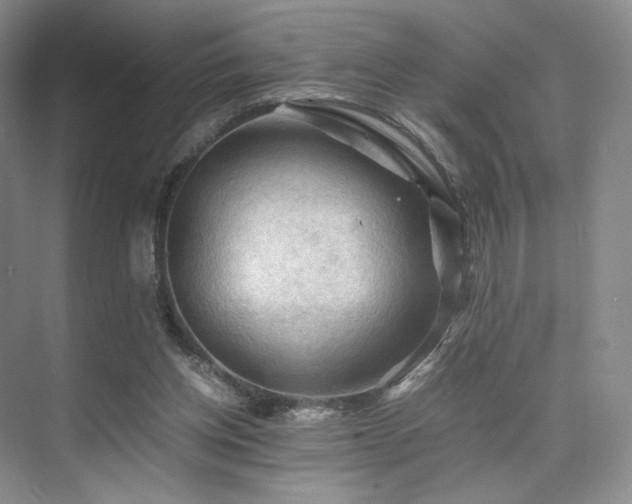 X0000075820158200609151221
