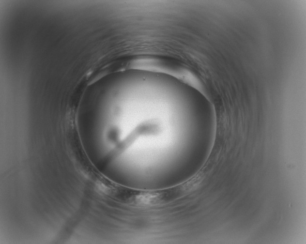 X0000075820172200609151222
