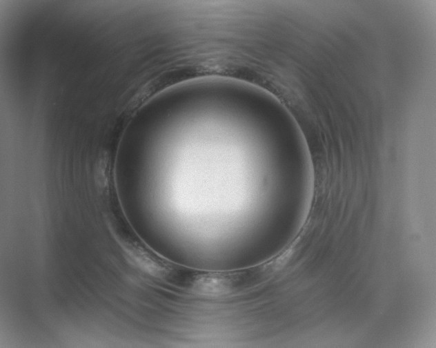 X0000075820174200609151222