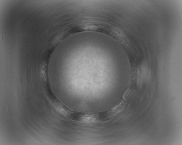 X0000075820175200609151222