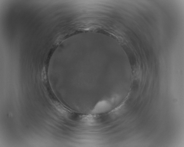 X0000075820182200609151222