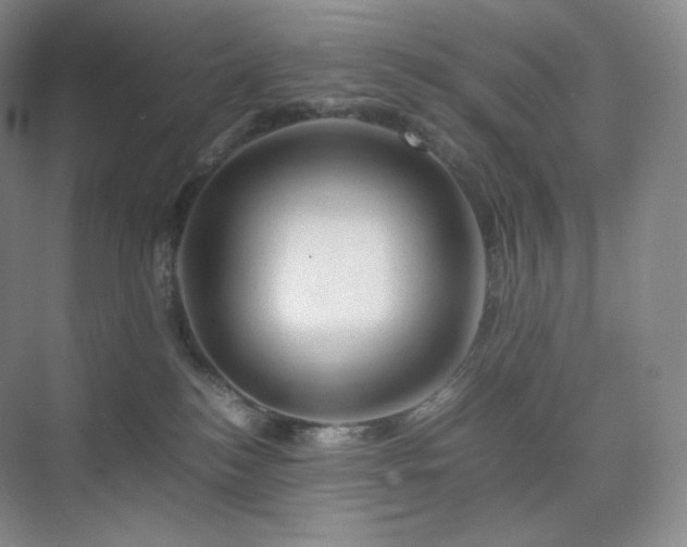 X0000075820184200609151222
