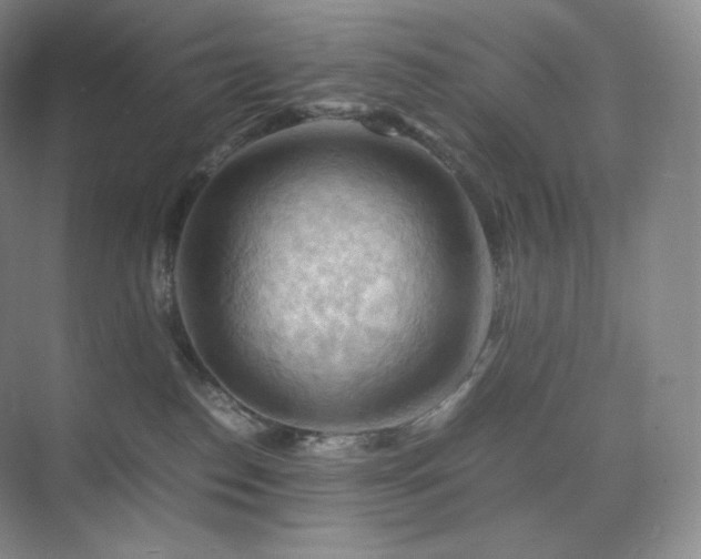 X0000075820186200609151222