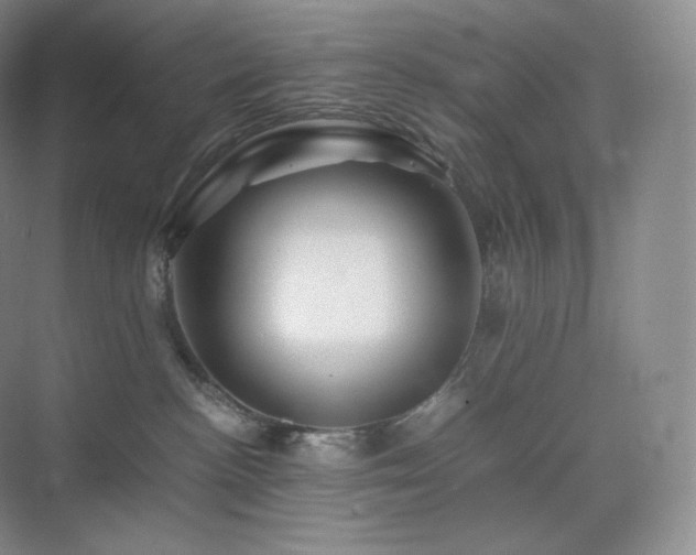 X0000075820188200609151222