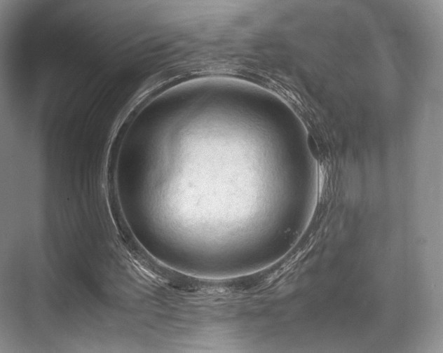 X0000075820195200609151221