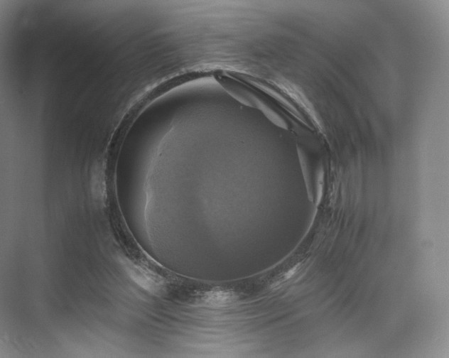X0000075820204200609151221