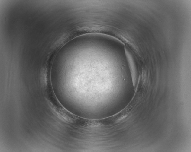 X0000075820206200609151221