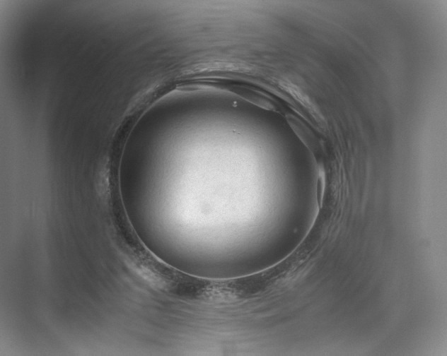 X0000075820207200609151221