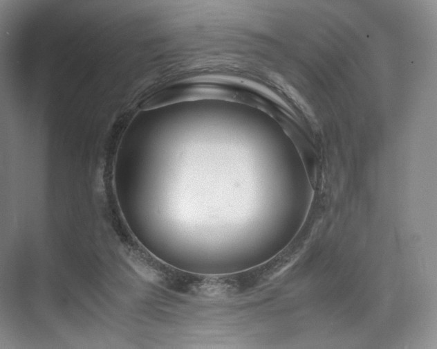 X0000075820209200609151221