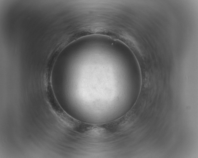 X0000075820210200609151221