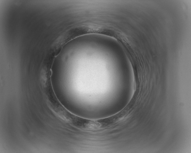 X0000075820215200609151221