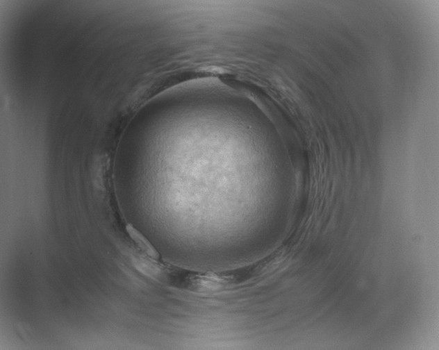 X0000075820229200609151221