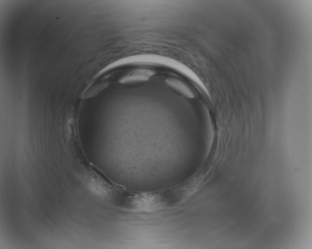 X0000075820235200609151220