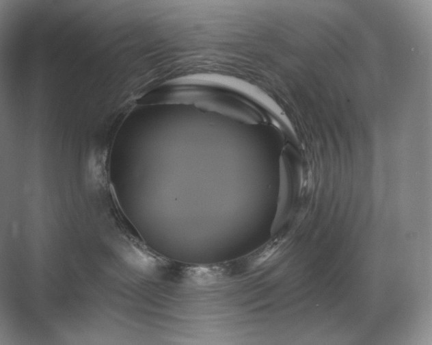 X0000075820239200609151220