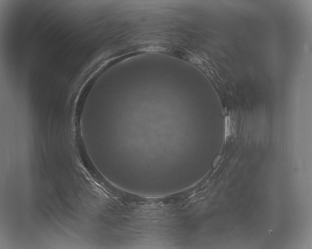 X0000075820243200609151220