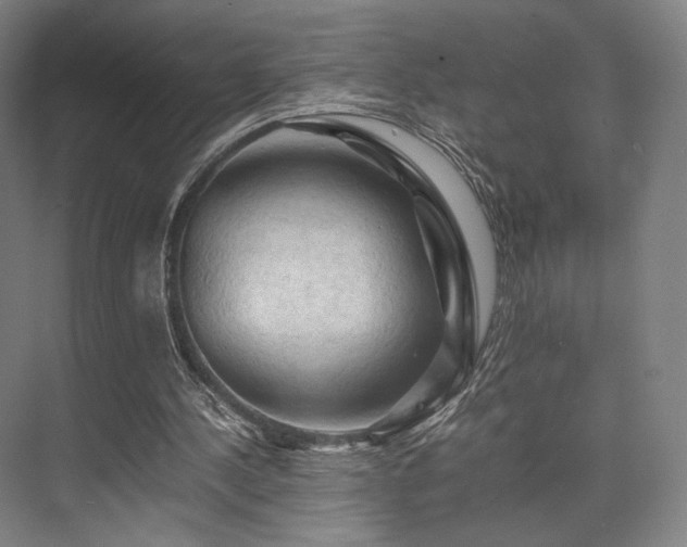 X0000075820244200609151220