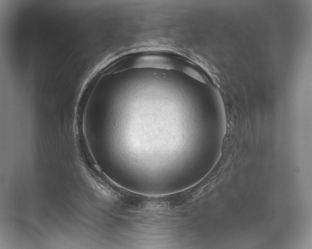 X0000075820248200609151220