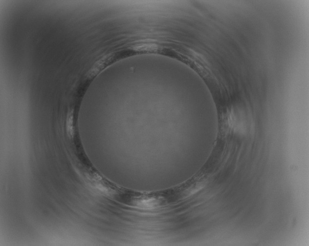 X0000075820267200609151220