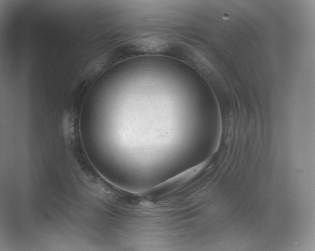 X0000075820268200609151220