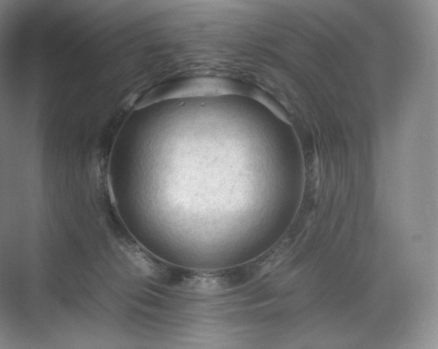 X0000075820276200609151220