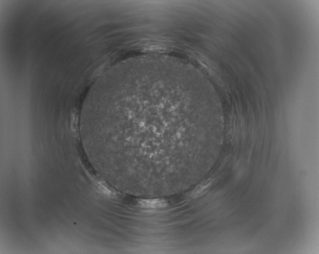 X0000075820281200609151220