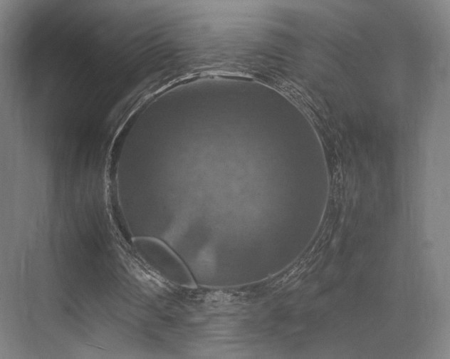 X0000075820290200609151219