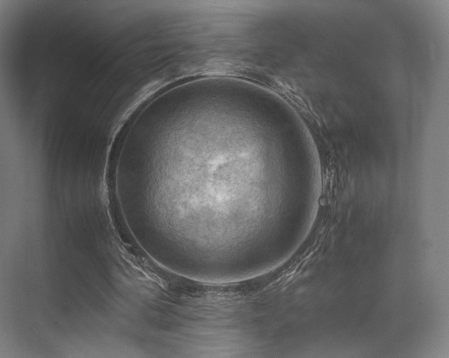 X0000075820292200609151219
