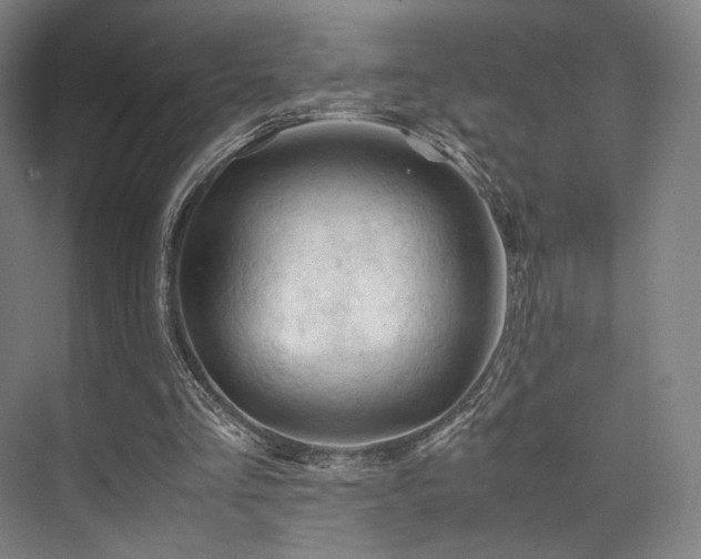 X0000075820293200609151219