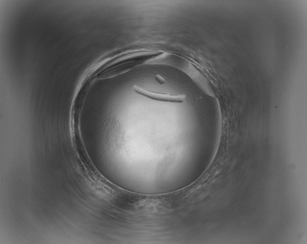 X0000075820294200609151219