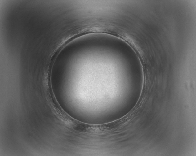 X0000075820297200609151219