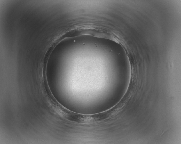 X0000075820301200609151219