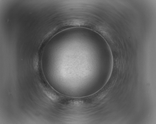 X0000075820304200609151219