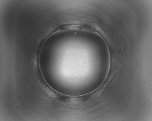 X0000075820305200609151219