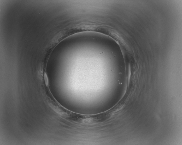 X0000075820309200609151219