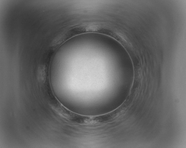 X0000075820311200609151219
