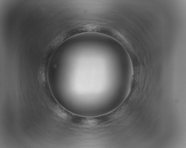X0000075820313200609151219