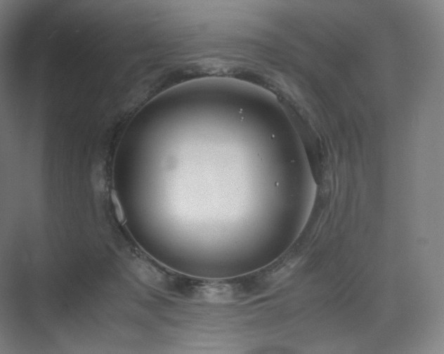 X0000075820317200609151219