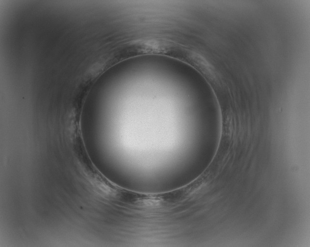 X0000075820318200609151219