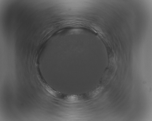 X0000075820325200609151219